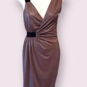 Express One Shoulder Mauve Dress